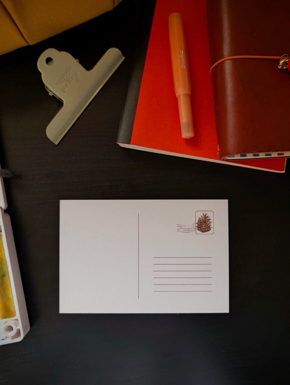 enchanted pinecone - postcard.